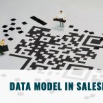 Data Model in Salesforce